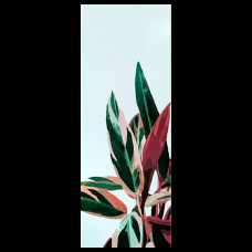 Металлокерамический дизайн-обогреватель UDEN-500D "Шелест" Металлокерамический дизайн-обогреватель UDEN-500D "Шелест"