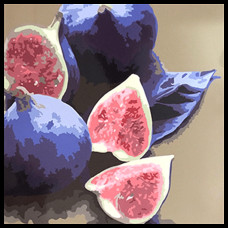 Металлокерамический дизайн-обогреватель UDEN-500К "Інжир" Металлокерамический дизайн-обогреватель UDEN-500К "Інжир"